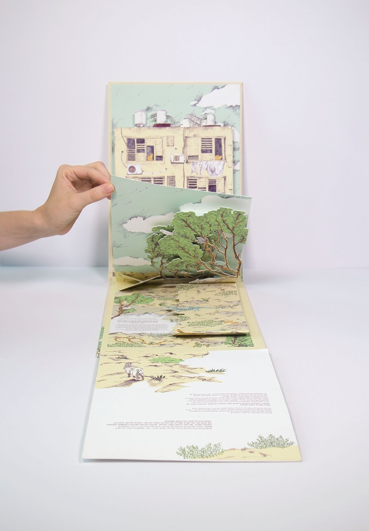 תמר בן ג׳ויה