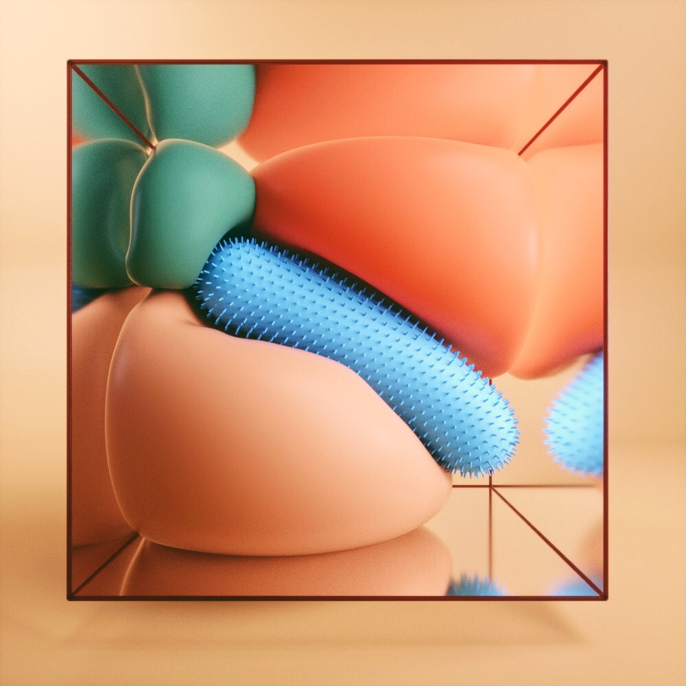 לירון אשכנזי