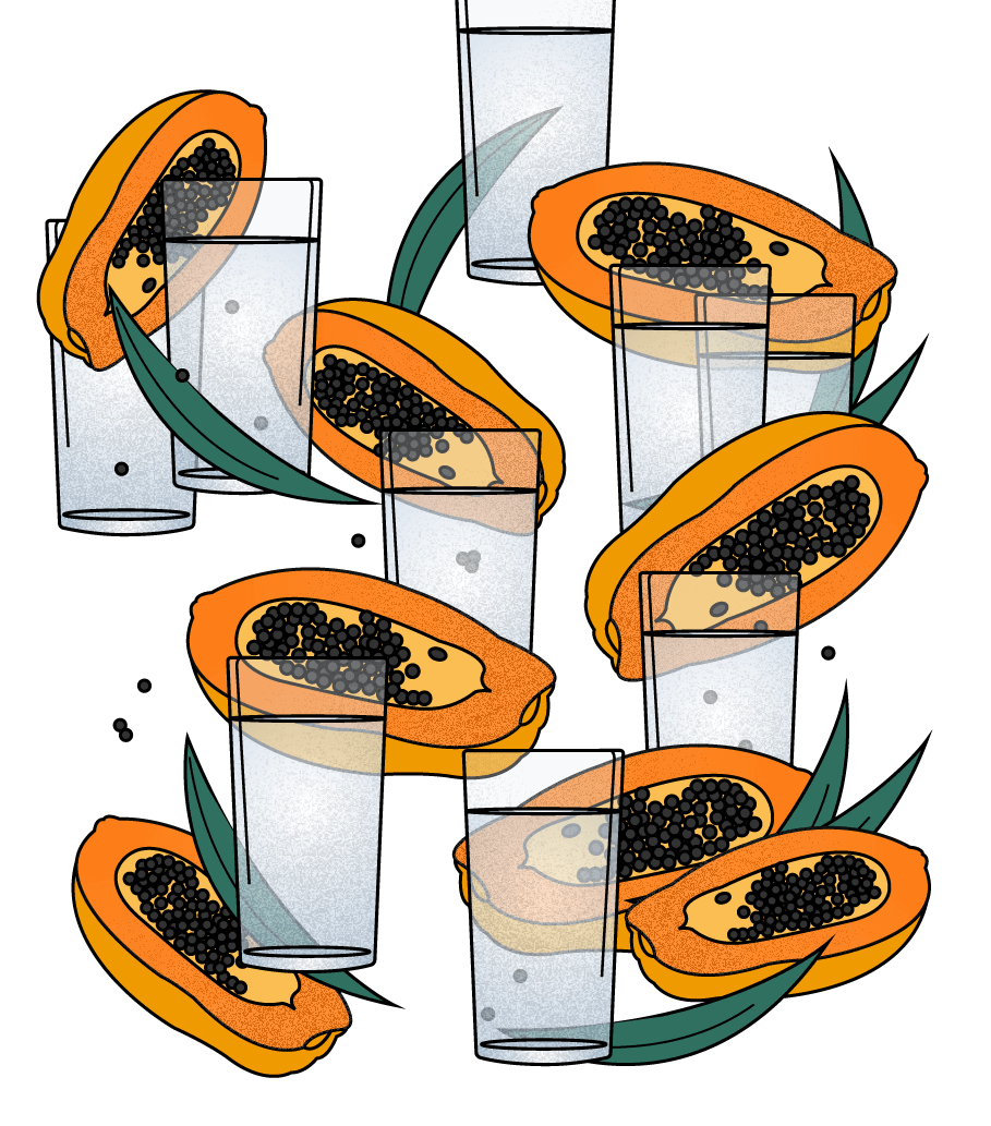 PAPAYA
