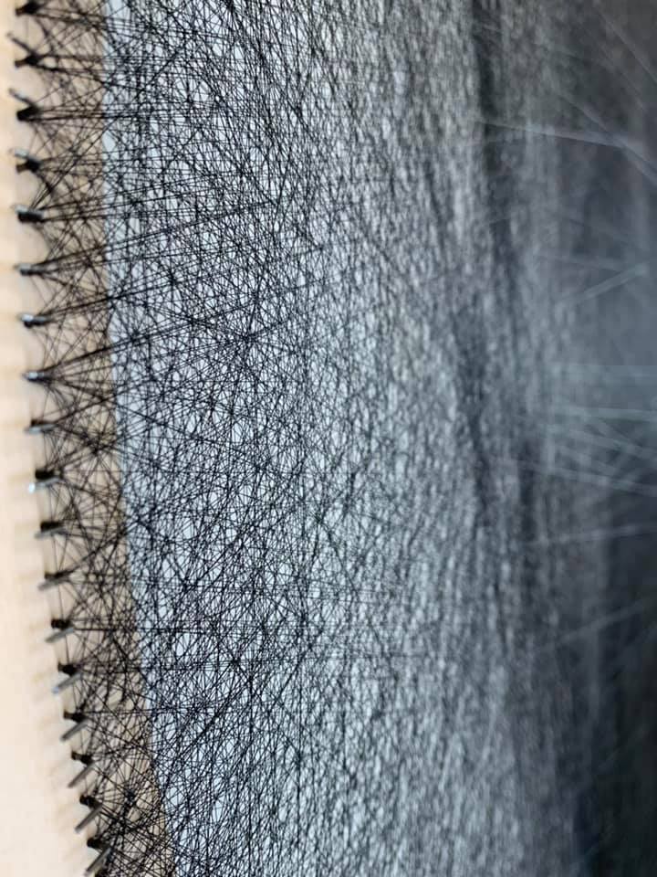 צילום : גילי גולן