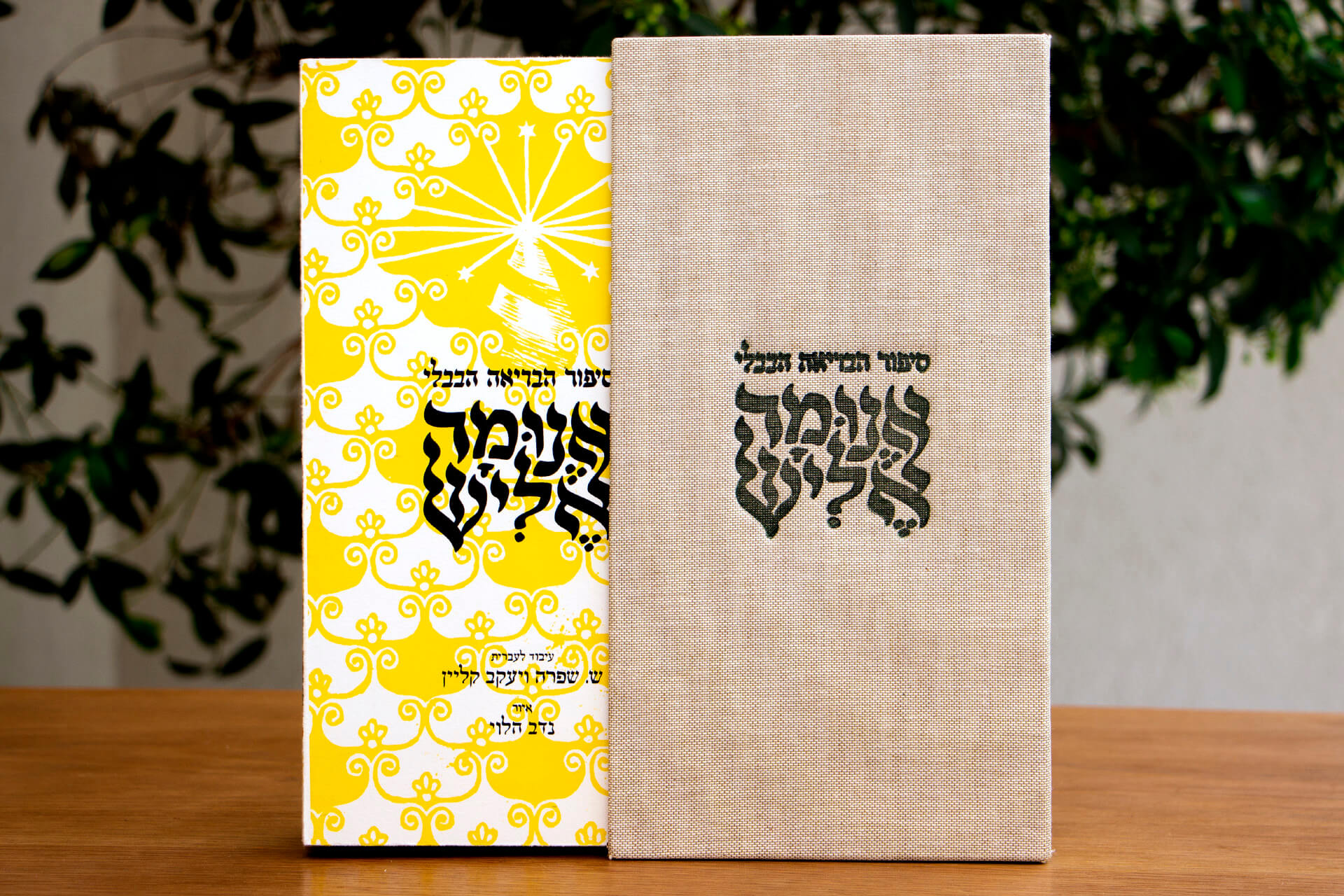 אנומש אליש - נדב הלוי