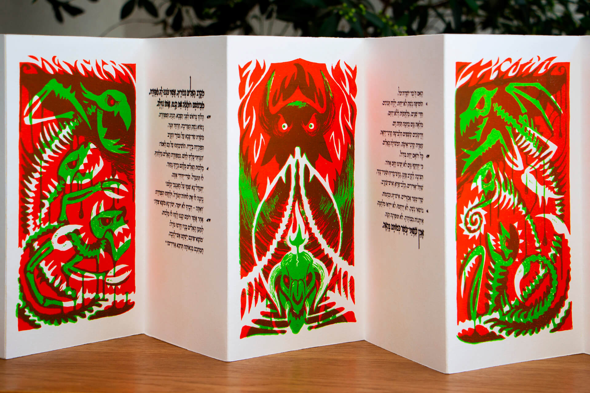 אנומש אליש - נדב הלוי