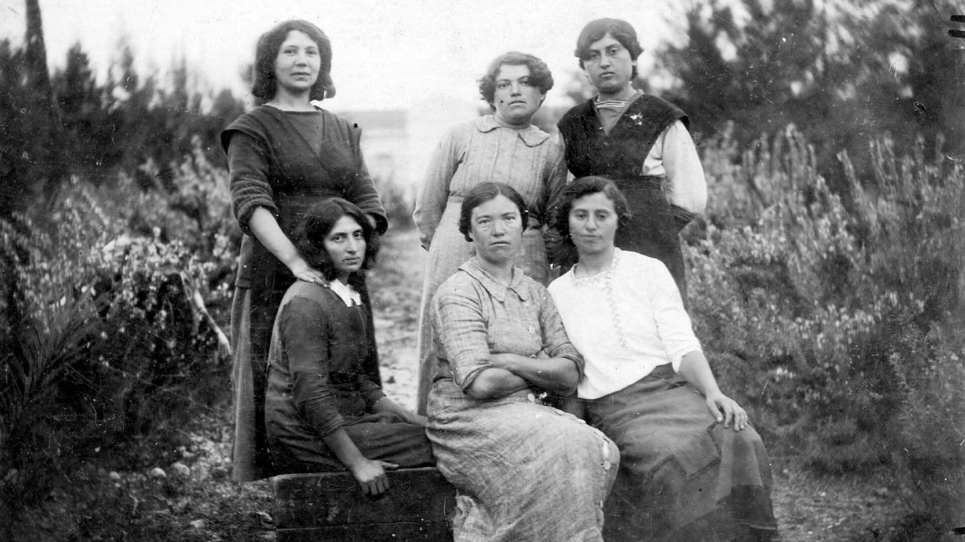 מתוך הארכיון (רפרודוקציה: תמר קנובל)