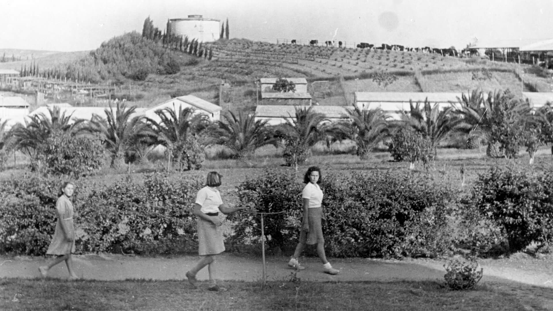 מתוך הארכיון (רפרודוקציה: תמר קנובל)