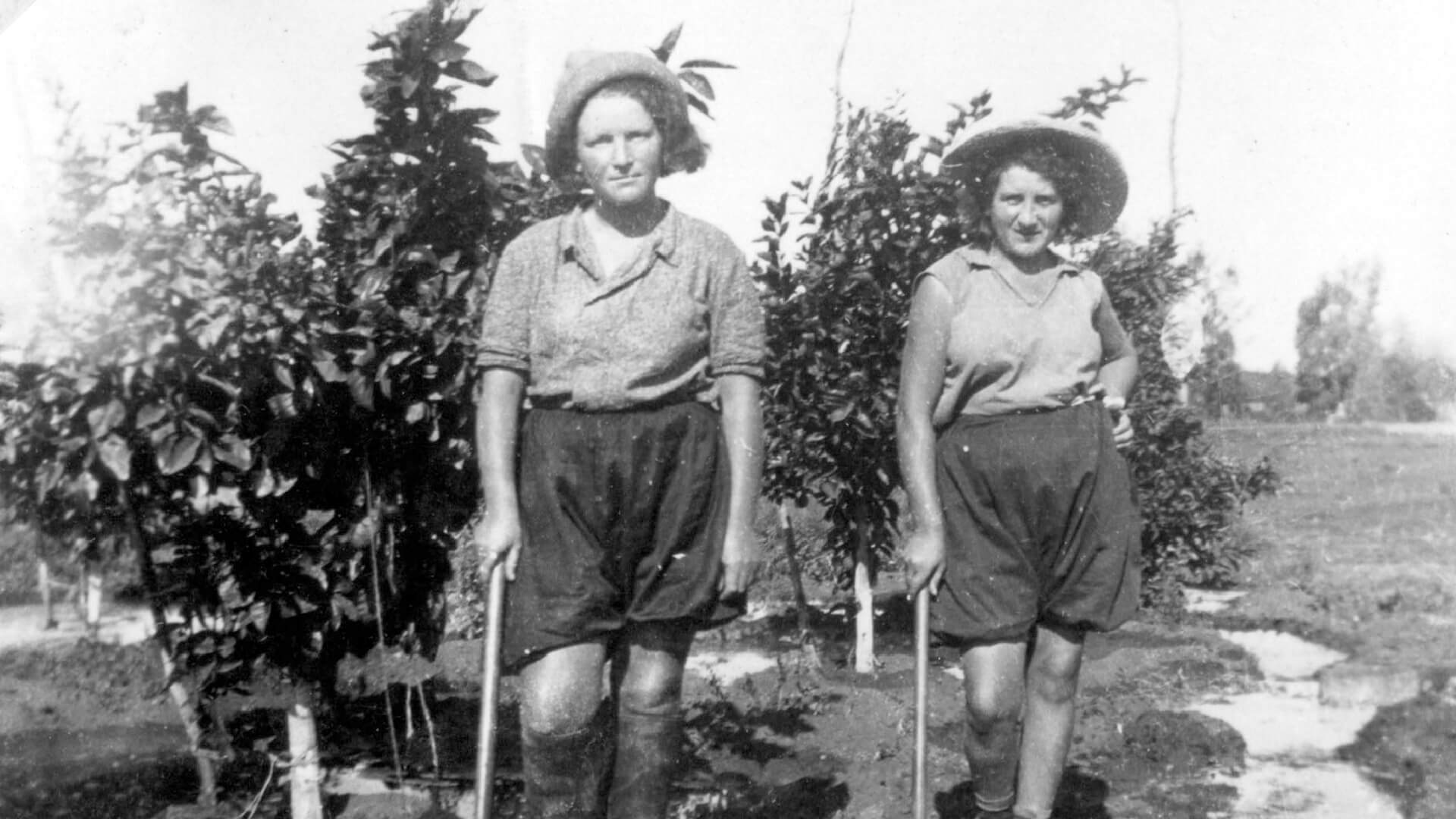 מתוך הארכיון (רפרודוקציה: תמר קנובל)