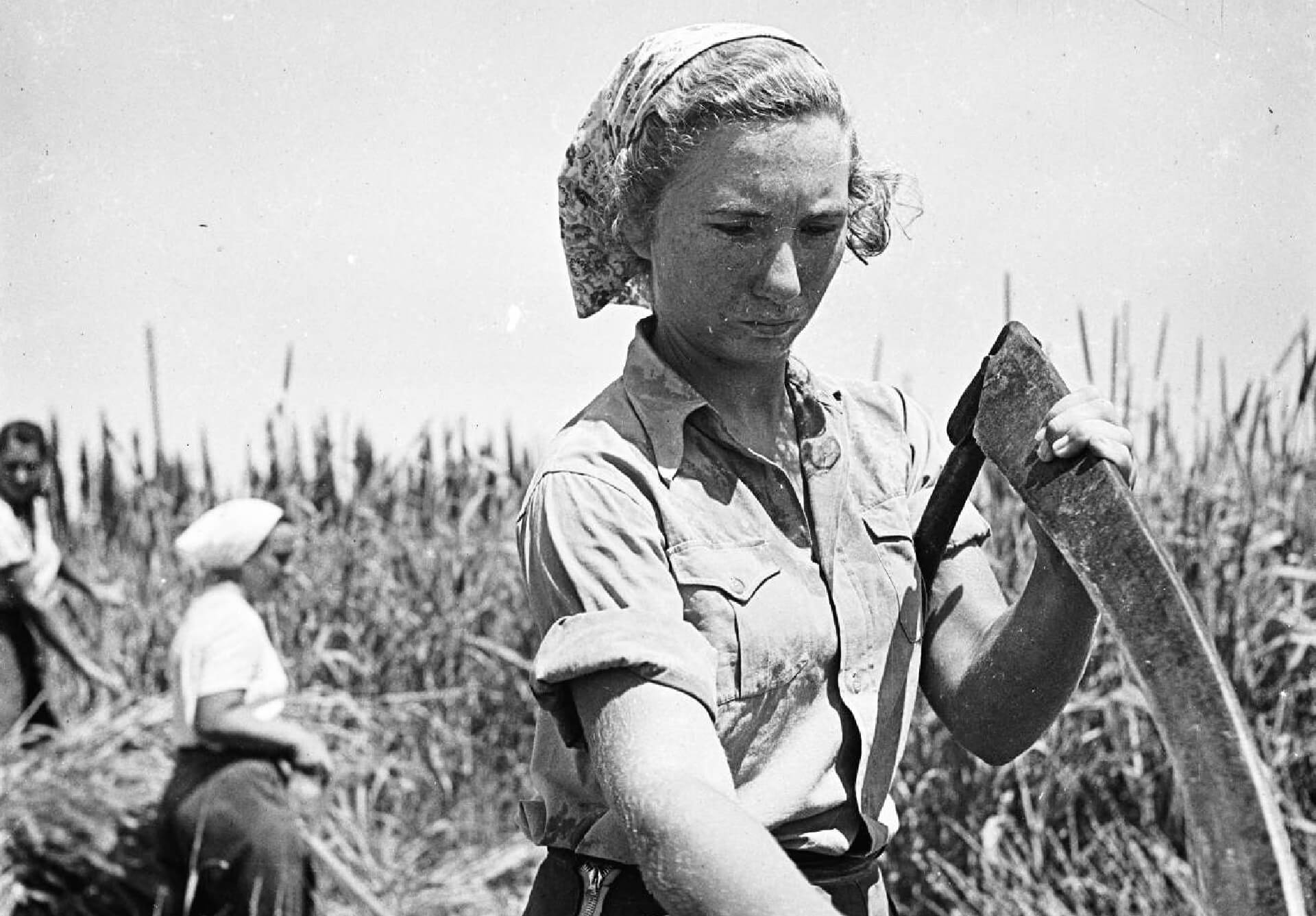 מתוך הארכיון (רפרודוקציה: תמר קנובל)