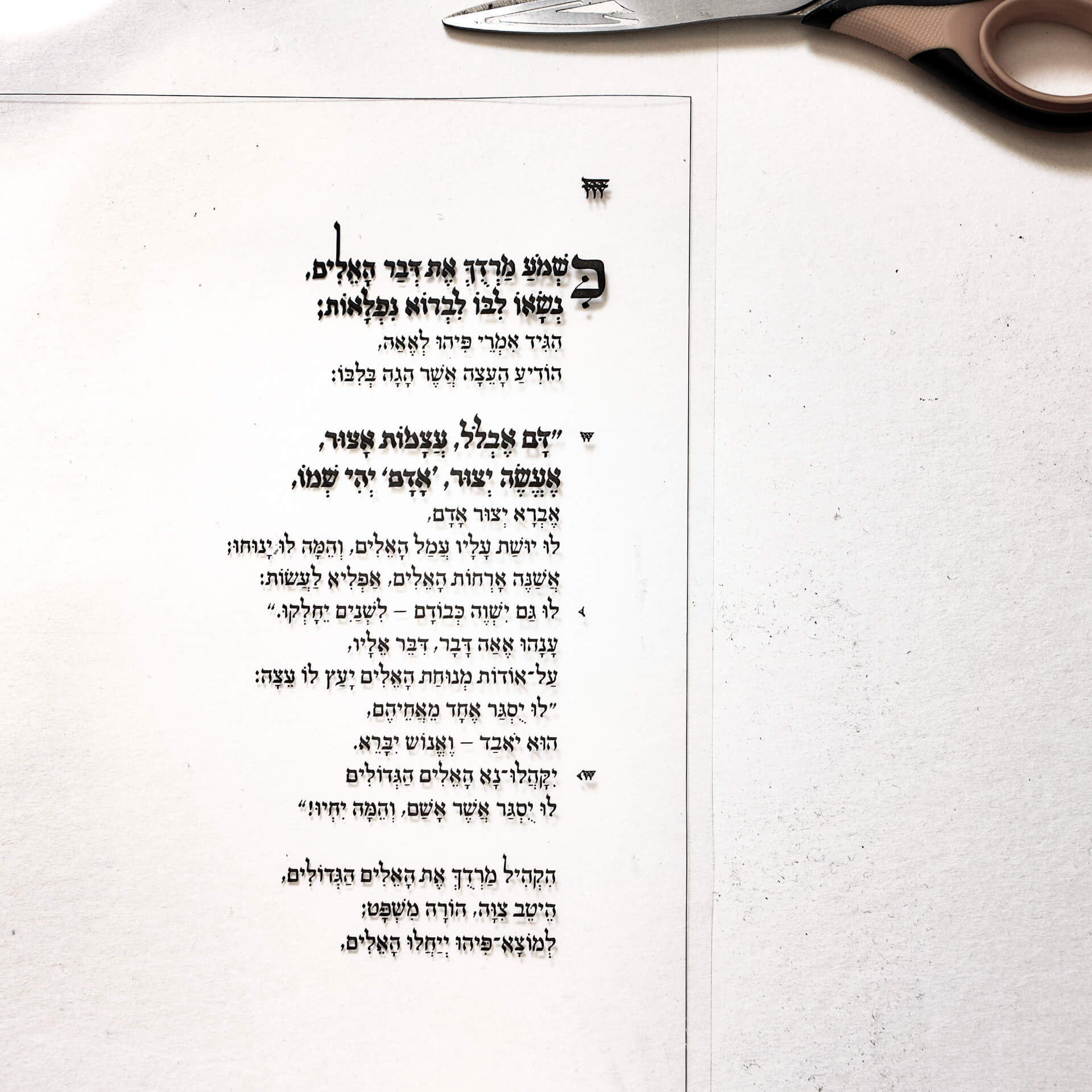 קליגרפיה ידנית למהדרין. נדב הלוי