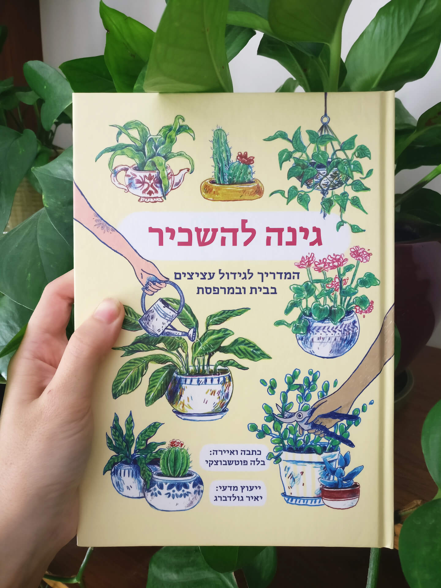 גינה להשכיר - בלה פוטשבוצקי