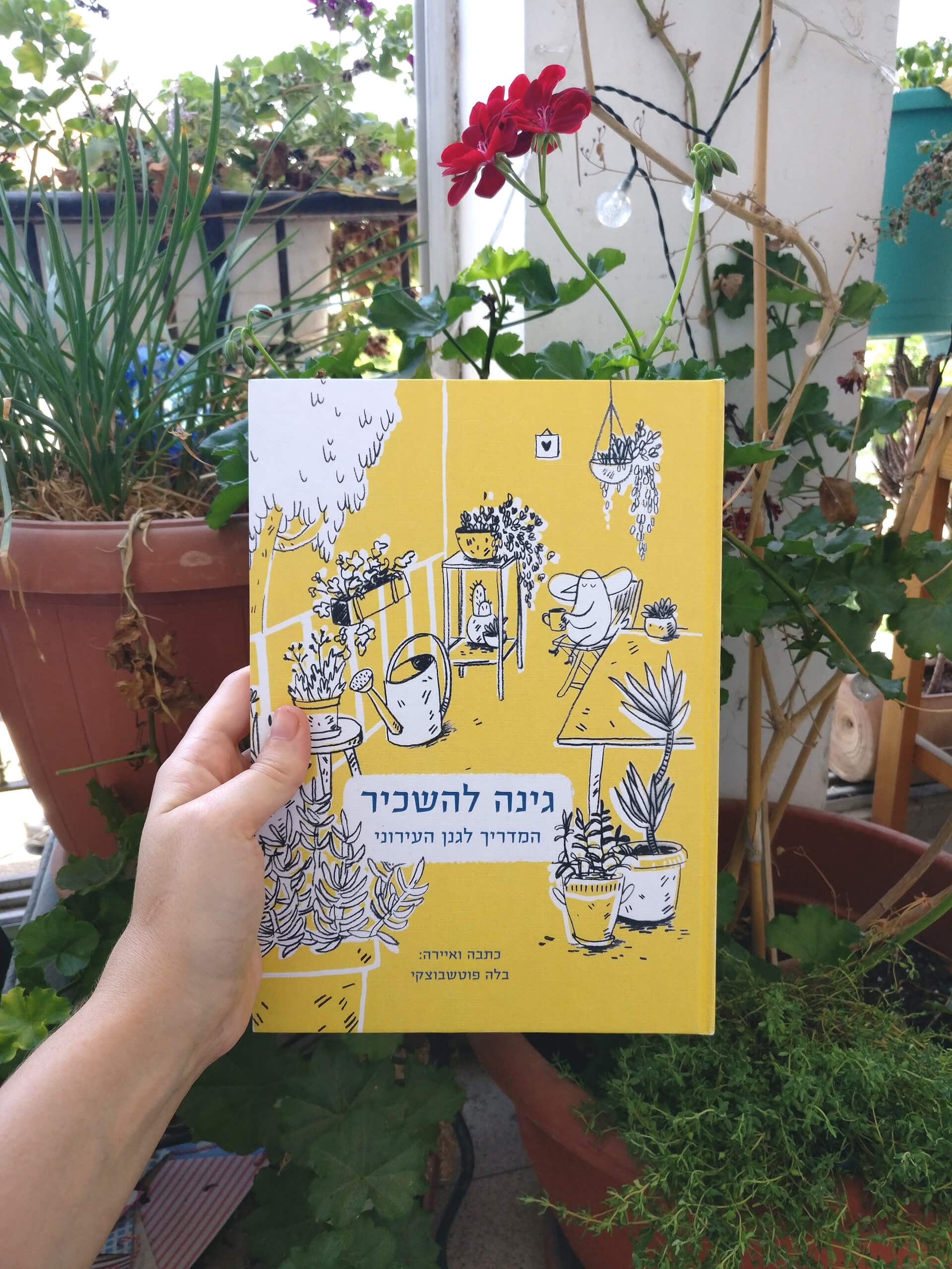 ׳גינה להשכיר׳ - פרויקט הגמר של בלה