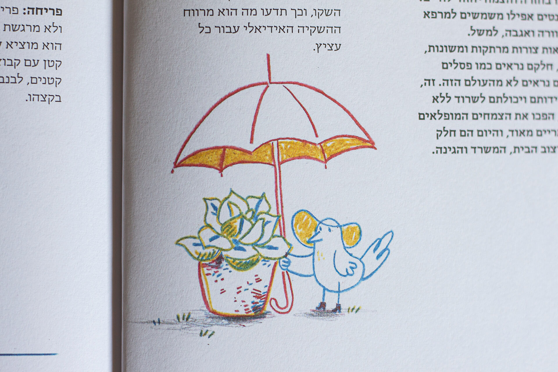 גינה להשכיר - בלה פוטשבוצקי