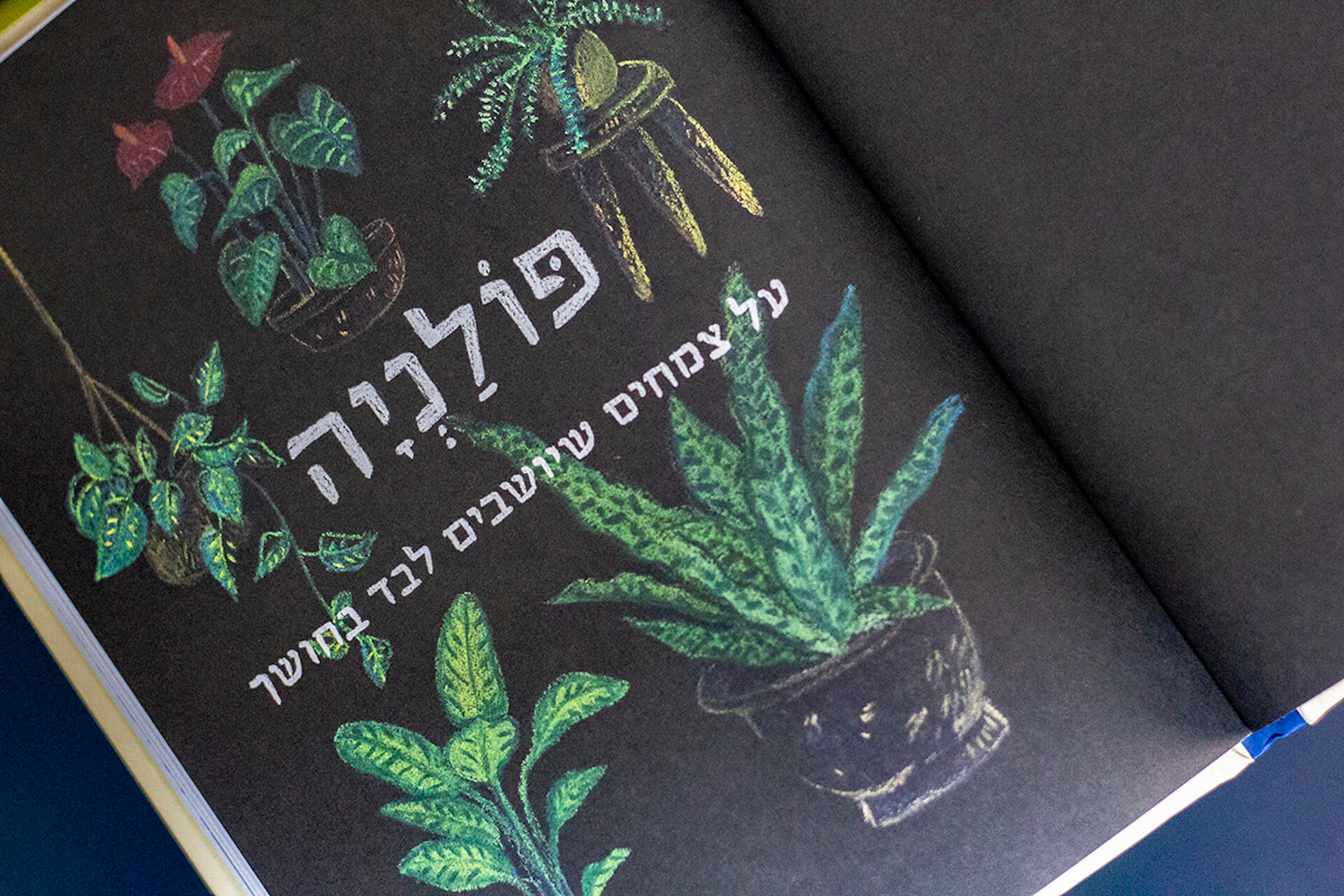 גינה להשכיר - בלה פוטשבוצקי