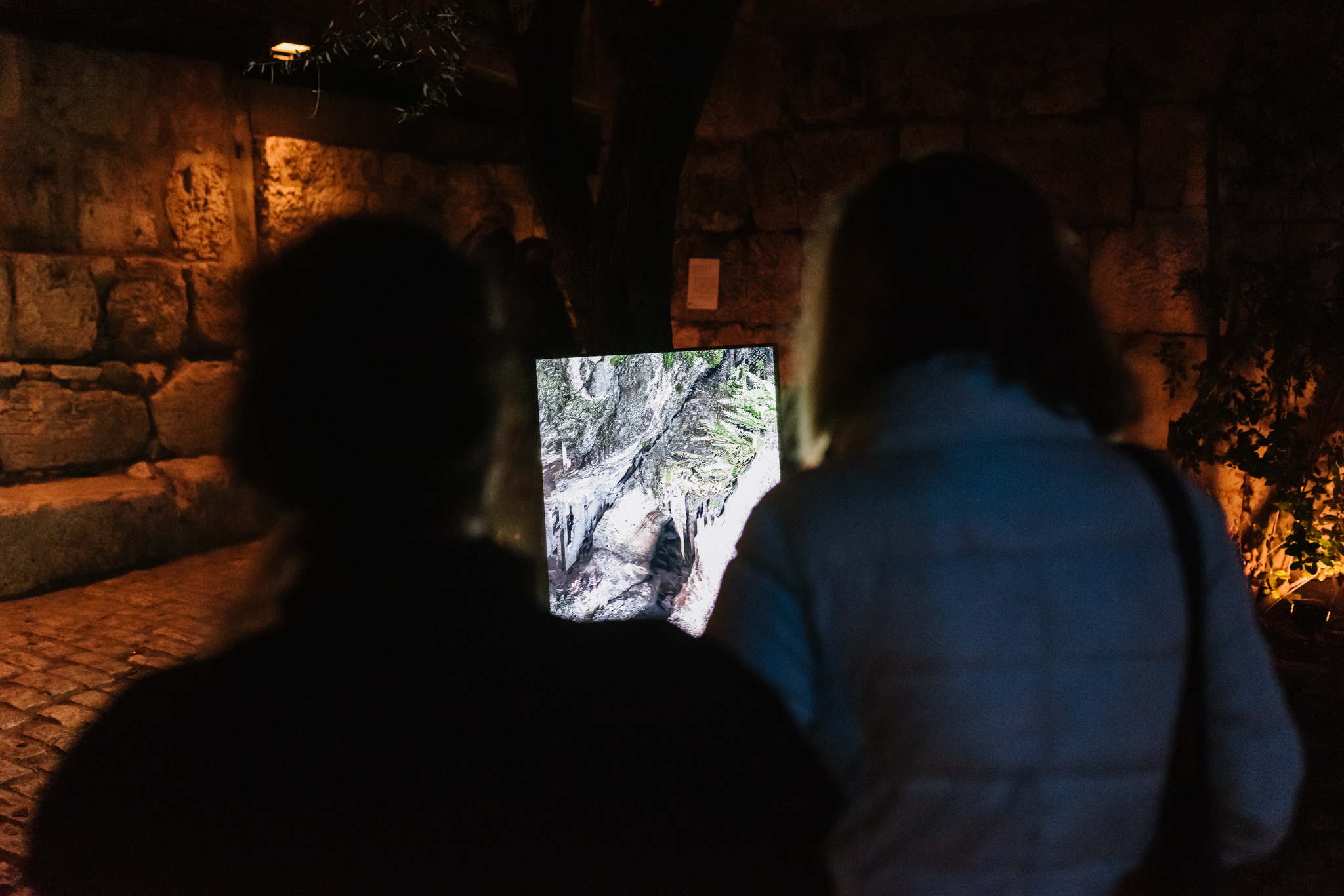 חברת Niio השקיעו במסכים. פסטיבל ZERO.ONE. צילום: דור קדמי