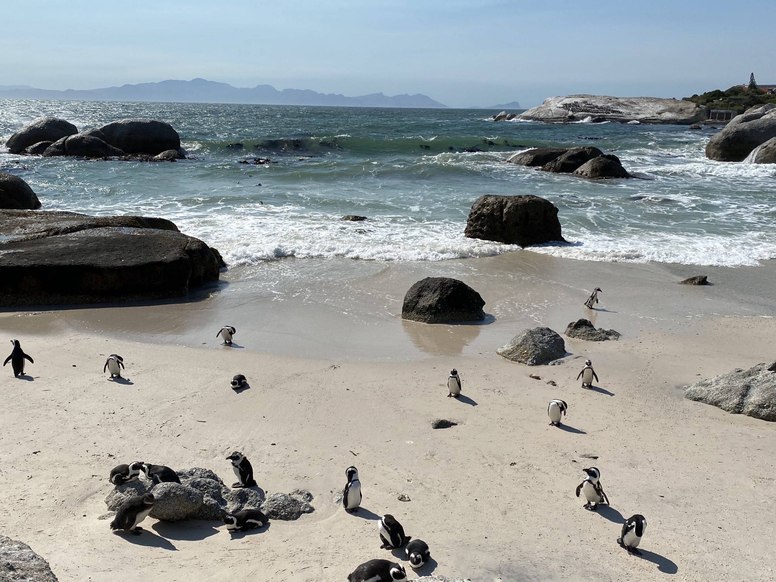 Cape Town. Photo: Liran Hadashi