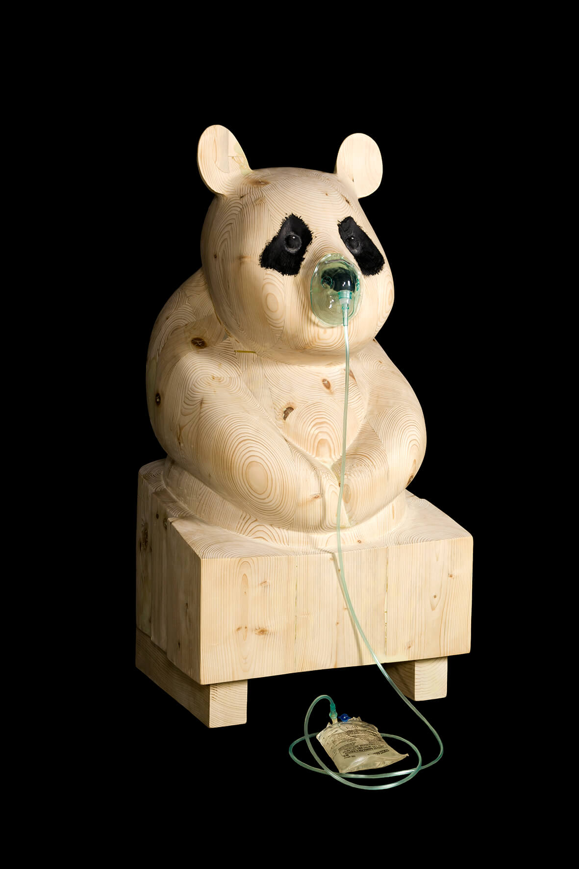 אשר אלהרר, הביאנלה במוז״א, צילום: הדר סייפן