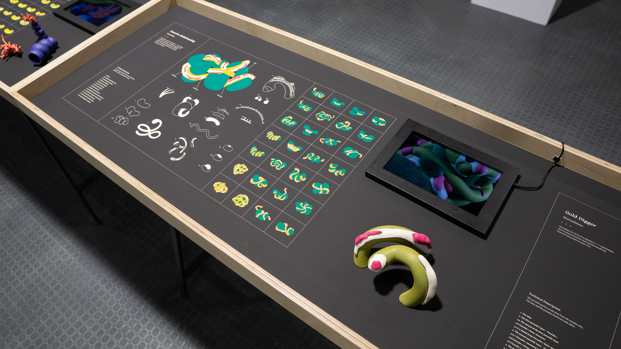 Parasitism - עמר שרייבר, מכללת שנקר. צילום: טל סולומון ורדי