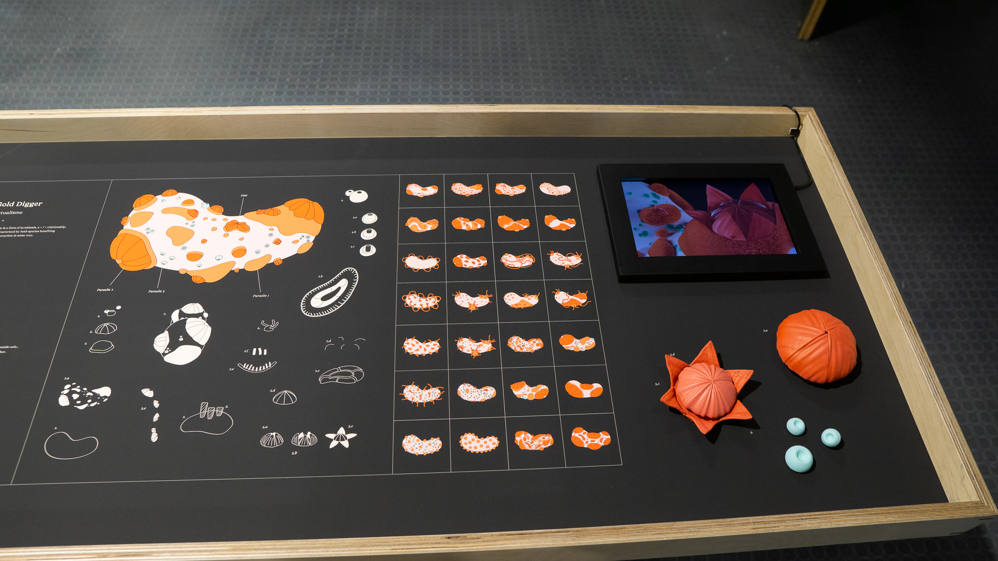 Parasitism - עמר שרייבר, מכללת שנקר. צילום: טל סולומון ורדי