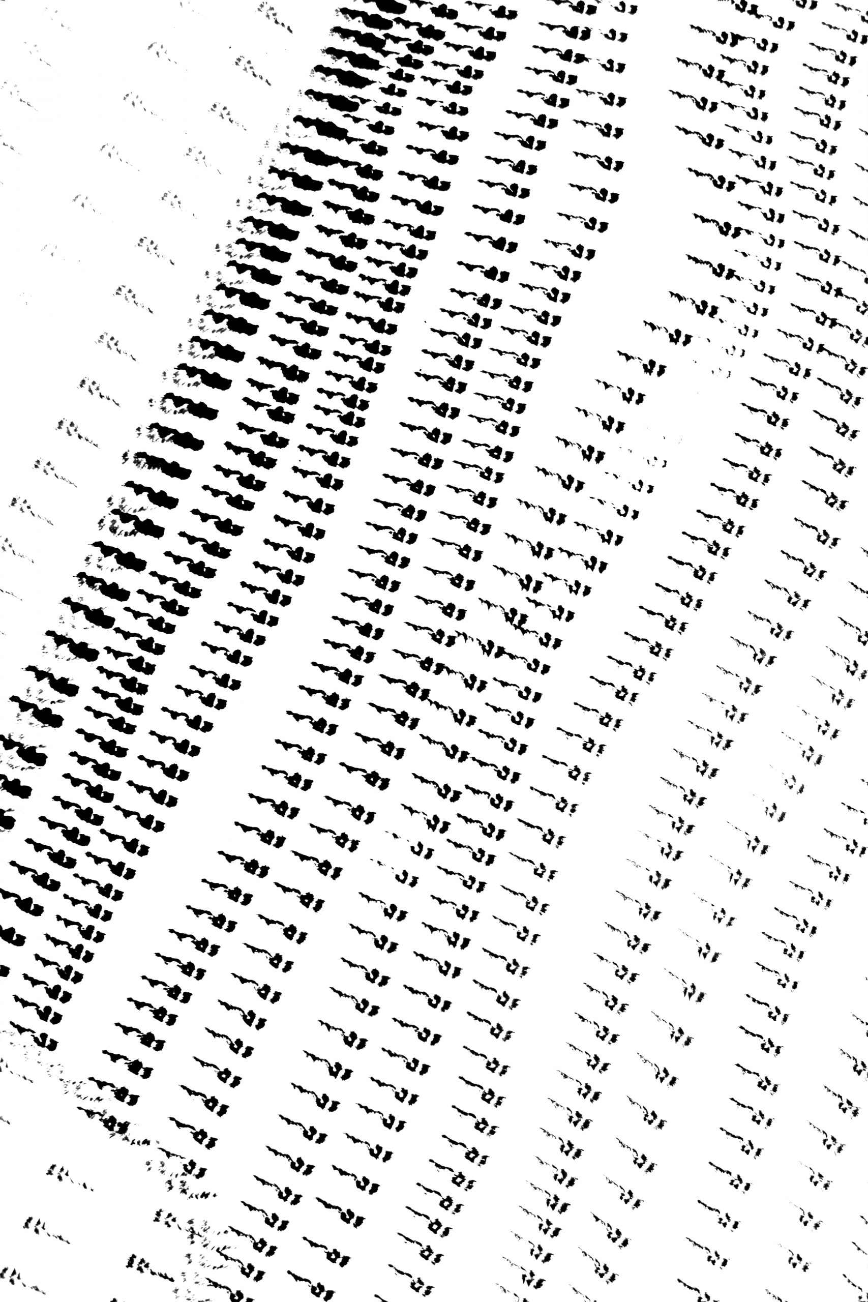 נסטיה קומרוב