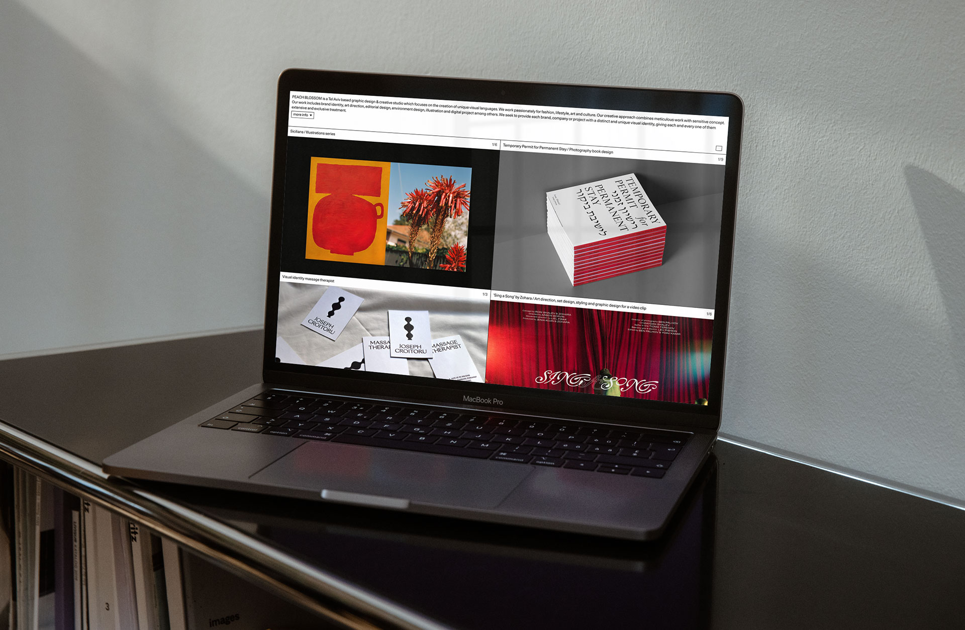 הפורטפוליו של רוני שלו