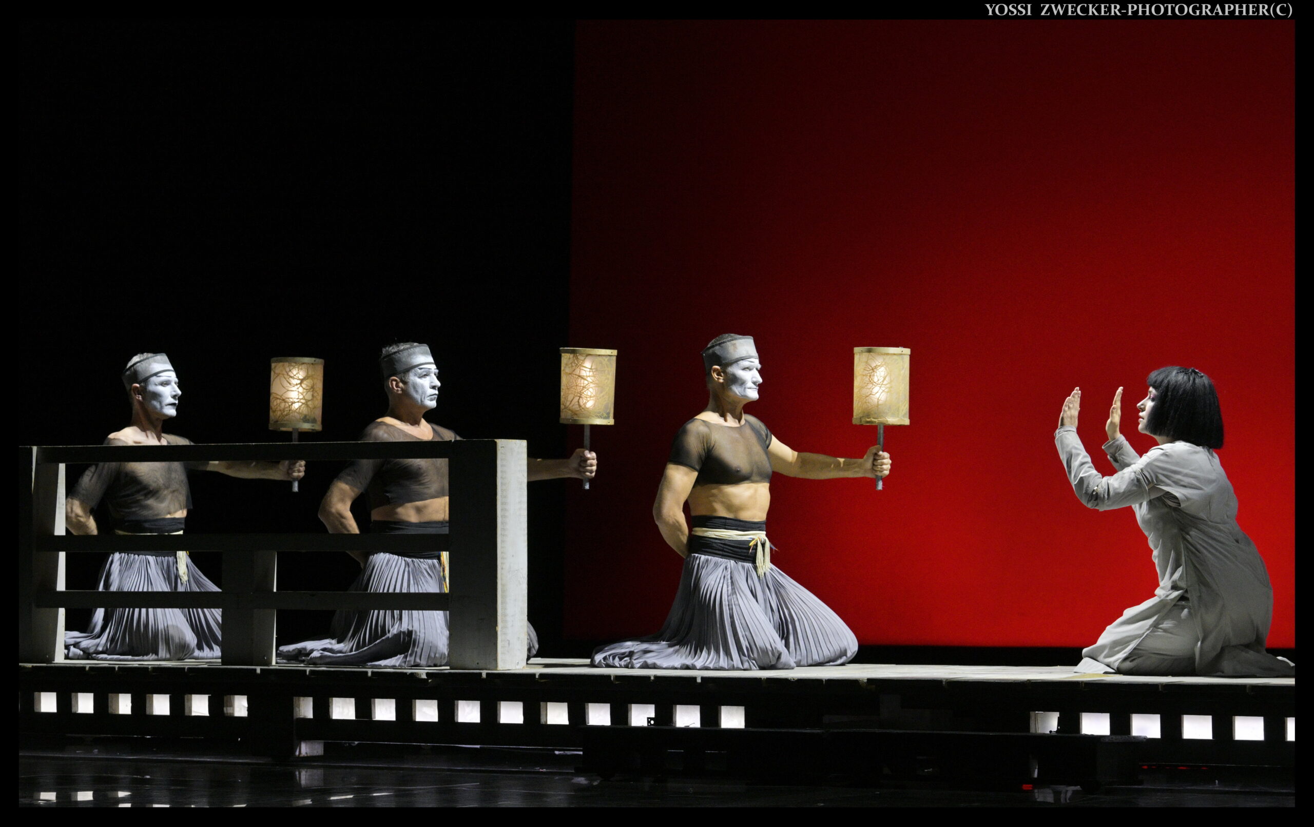 מאדאם בטרפליי. צילום: יוסי צבקר