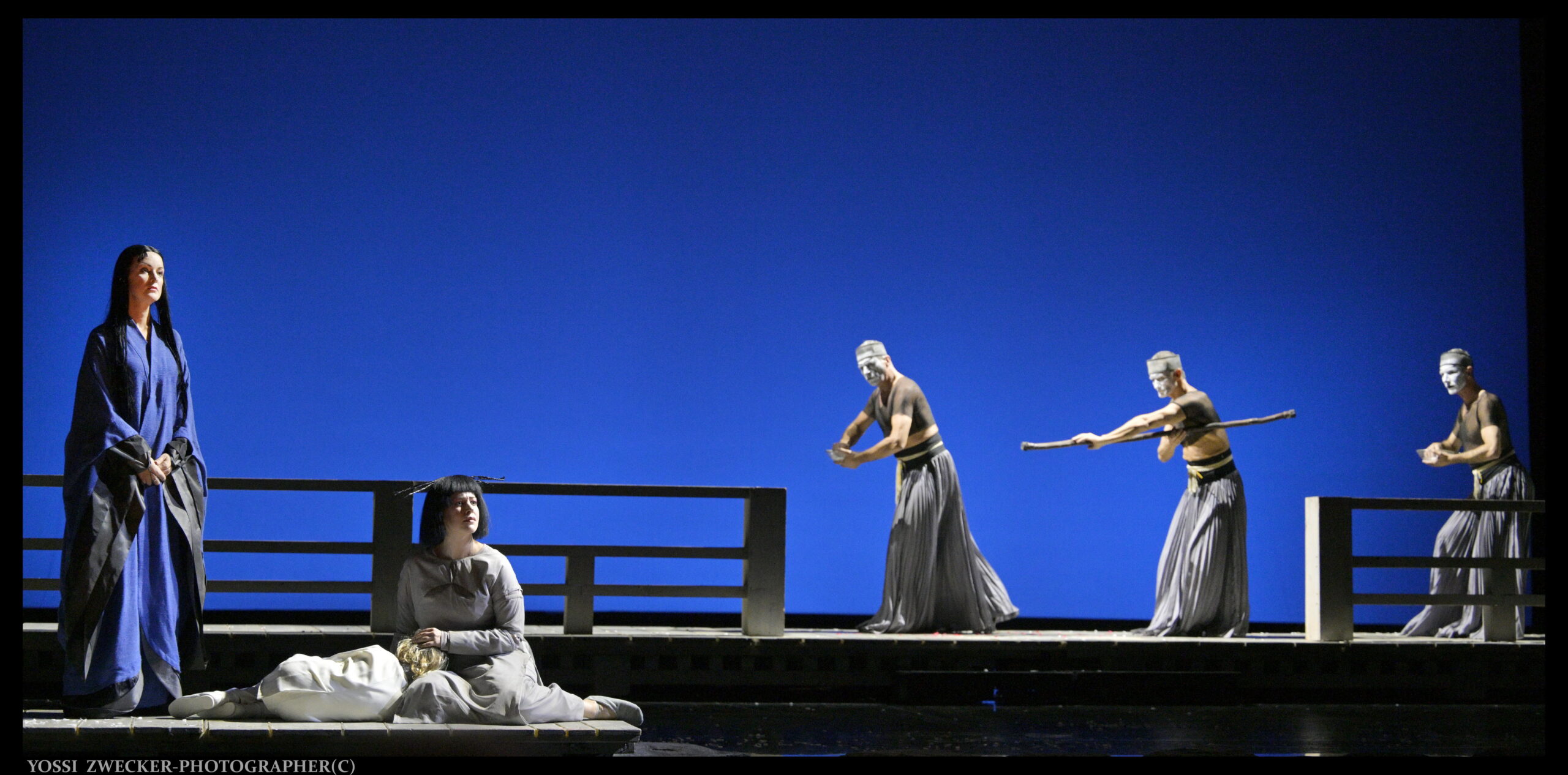 מאדאם בטרפליי. צילום: יוסי צבקר