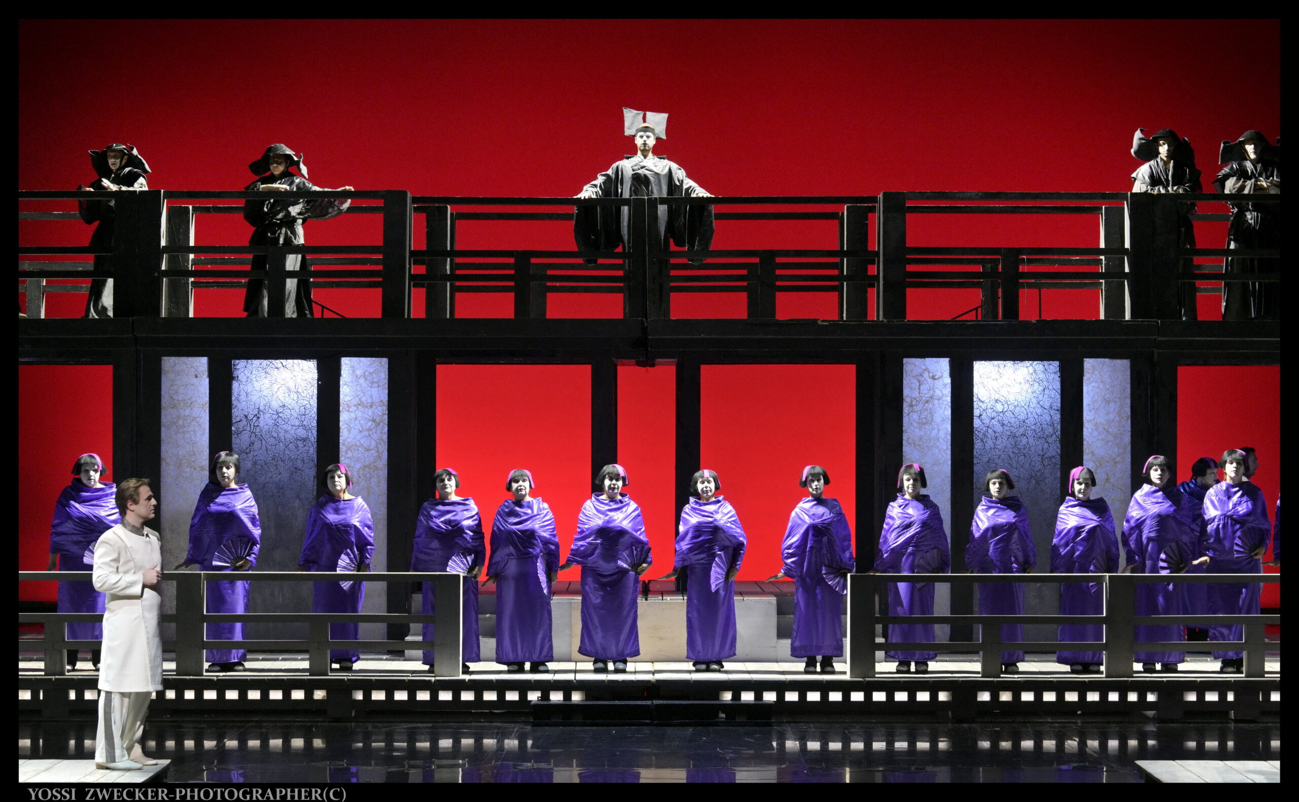 מאדאם בטרפליי. צילום: יוסי צבקר