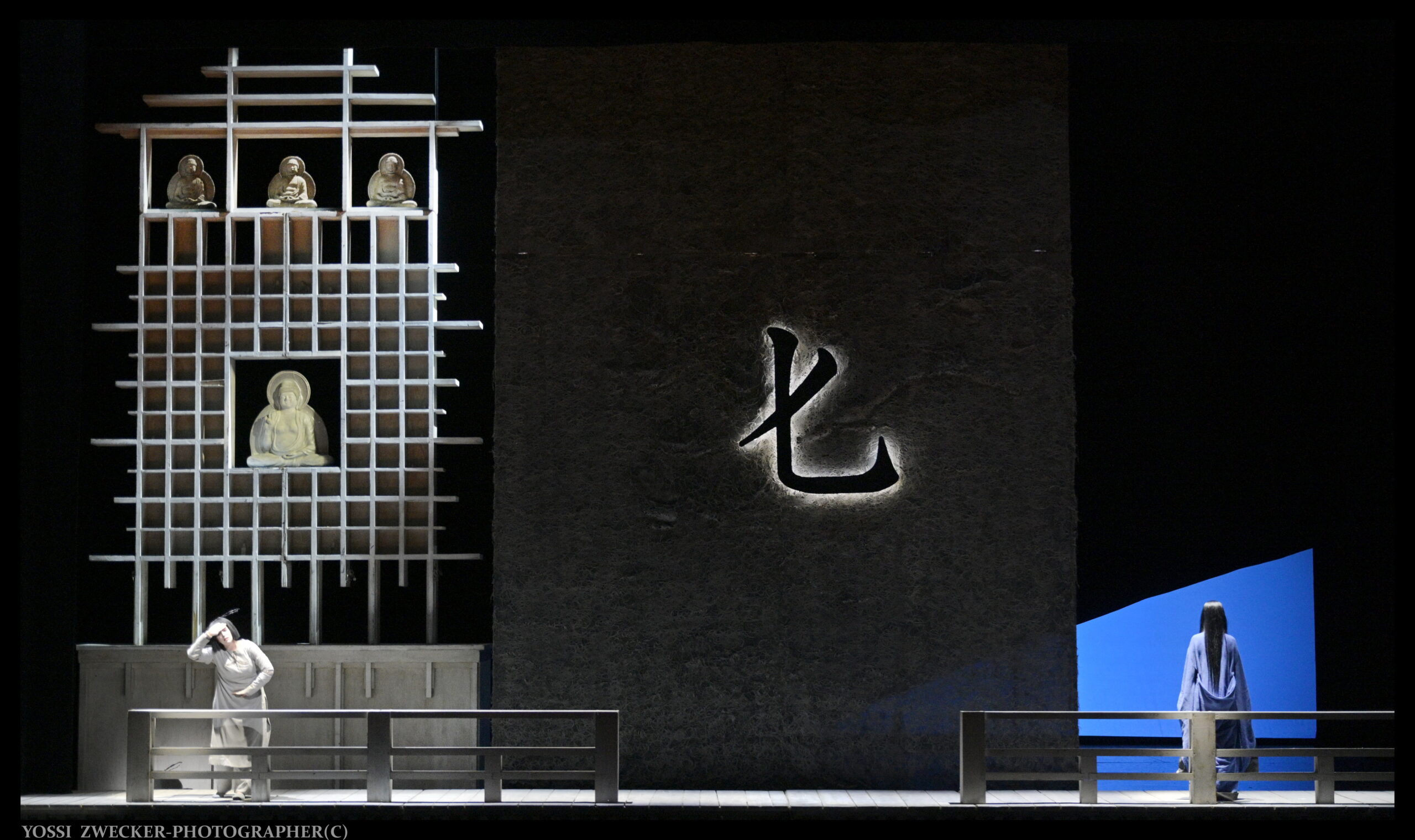 מאדאם בטרפליי. צילום: יוסי צבקר