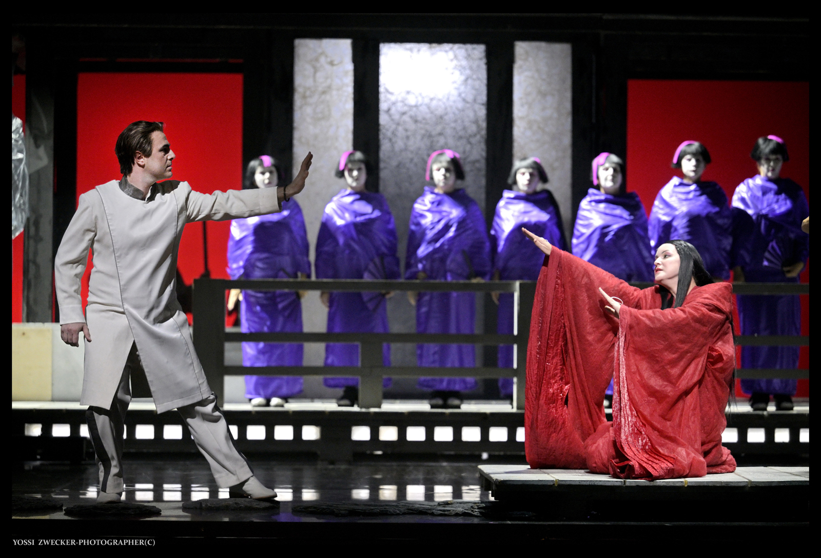 מאדאם בטרפליי. צילום: יוסי צבקר