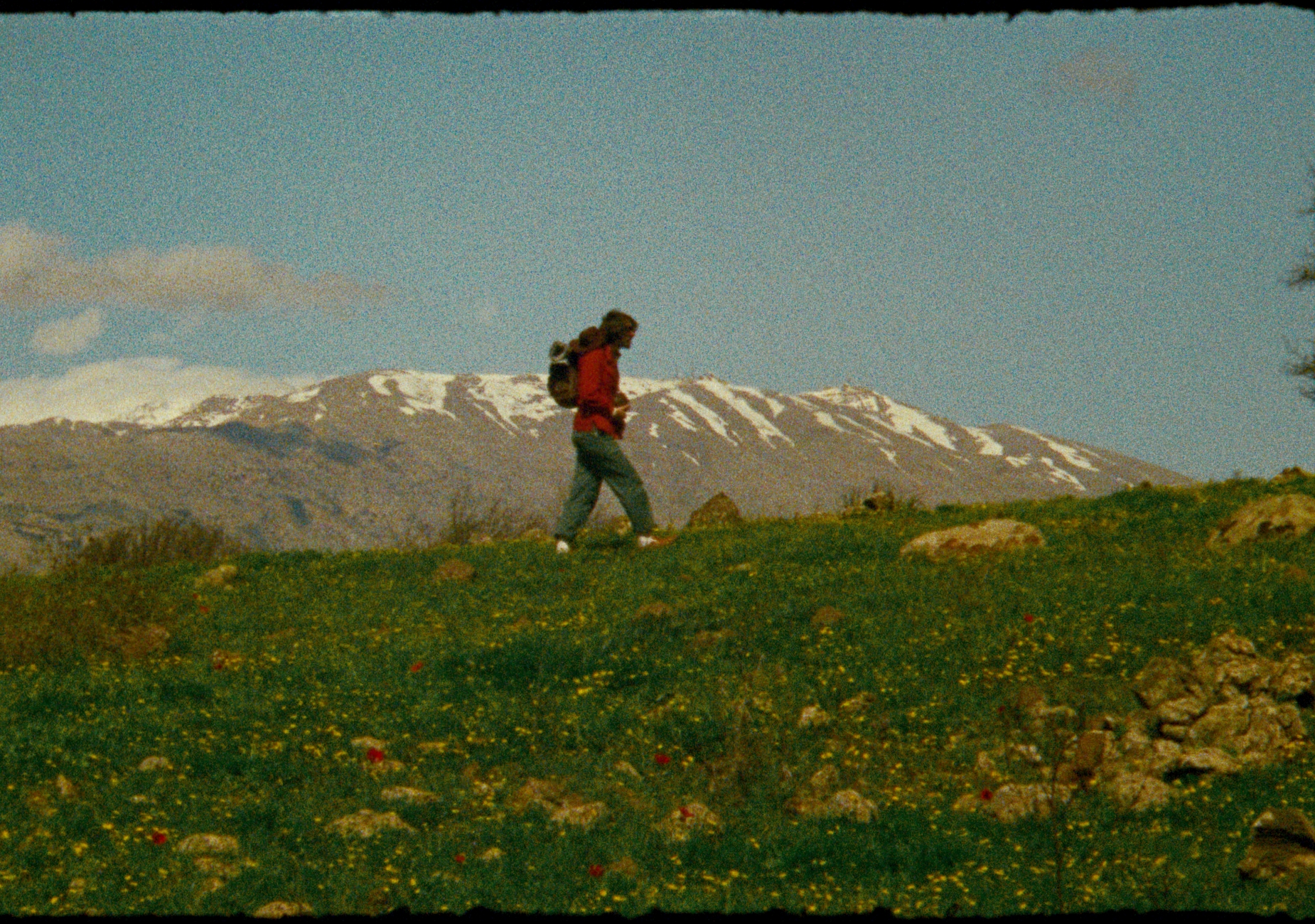 ארץ ישראל - עוזי נבון. צילום: אסתר בוכניק