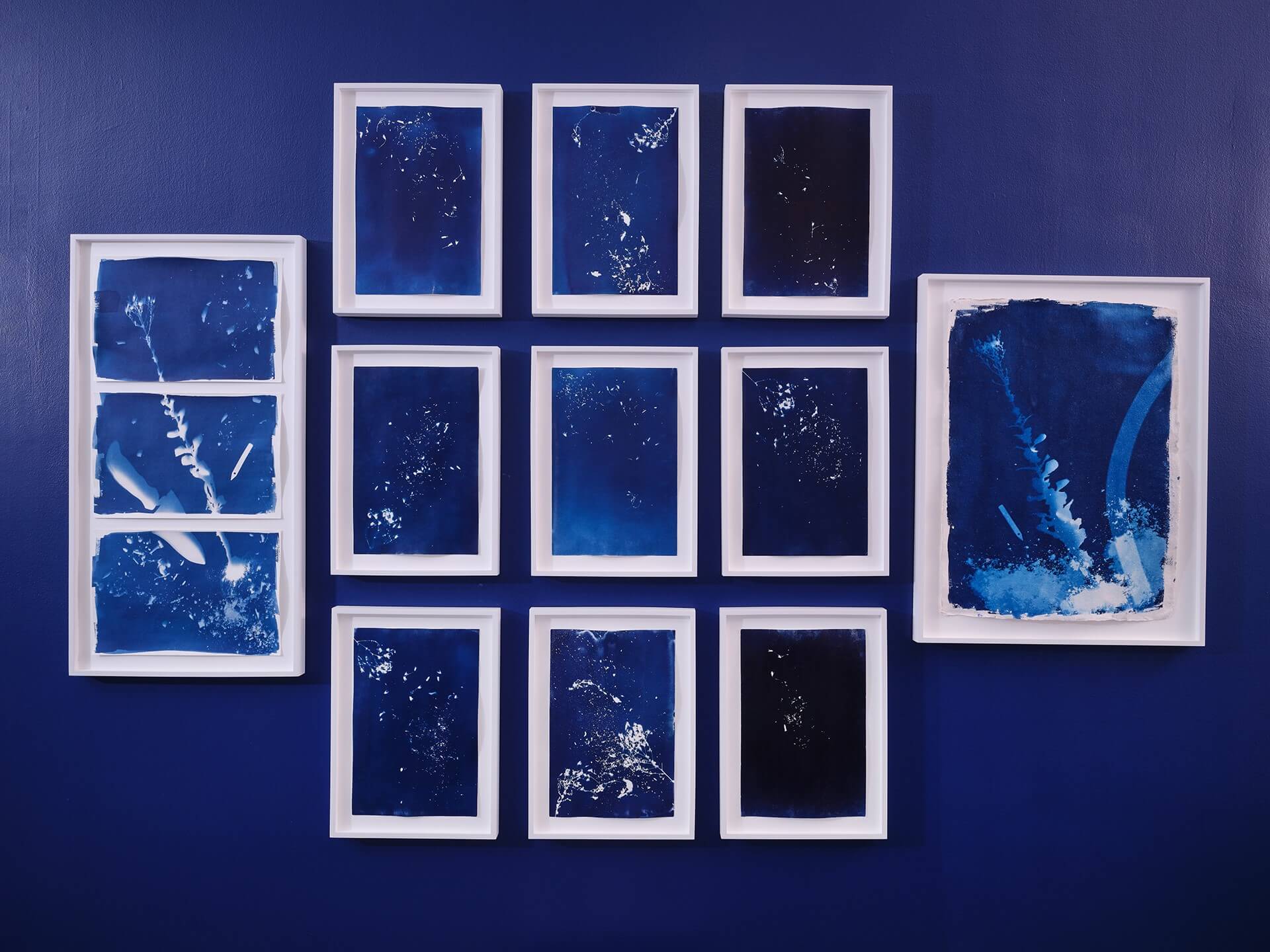 Christina Freeman (Image by argenis Apolinario)